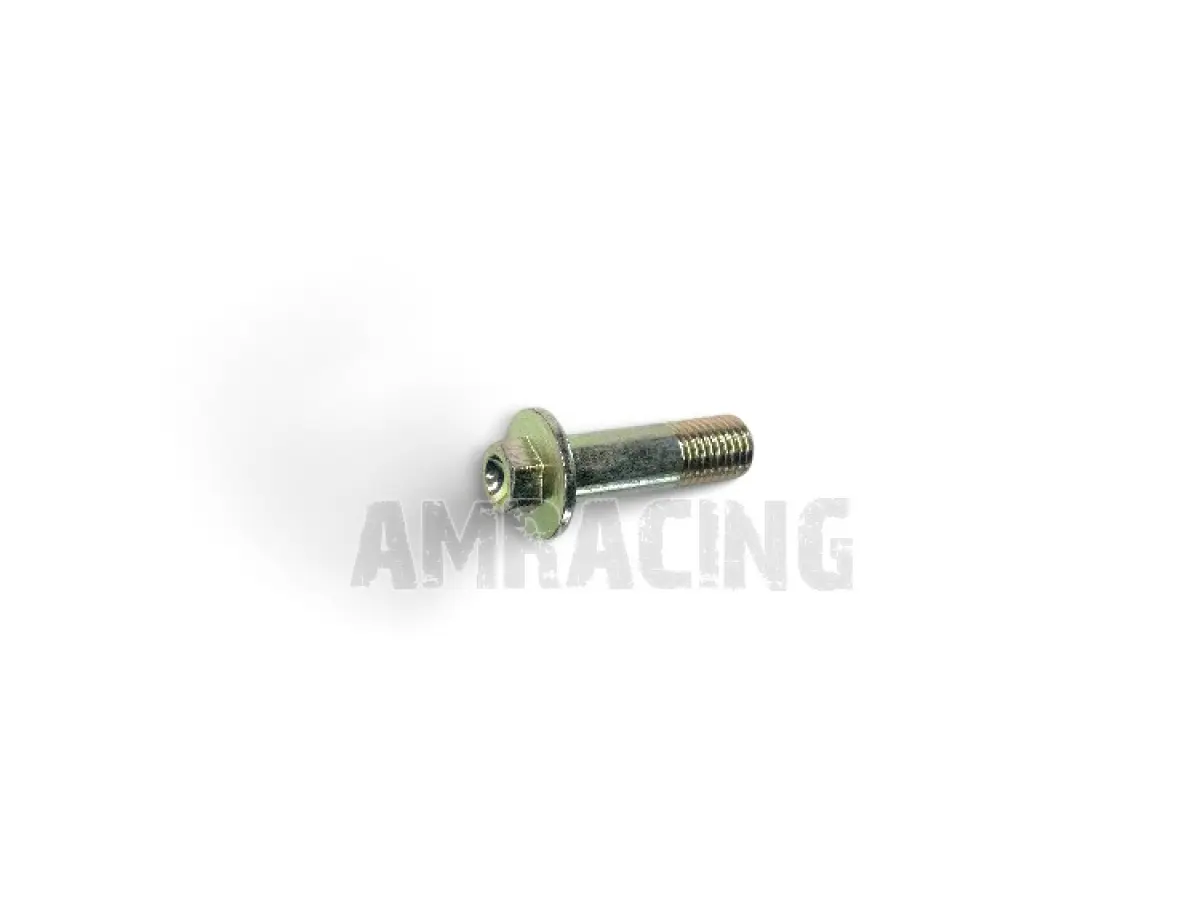 TORNILLO TE F/R 10X33 1,25  Ch.10